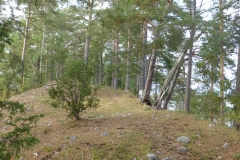 Åshuvud-sydspetsen-2